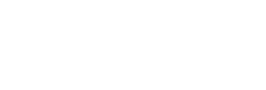 vidroplast